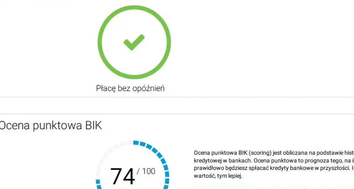 Wskaźnik BIK i ocena punktowa 74/100. Czy Revolut sprawdza BIK? Tak, ocena punktowa BIK jest kluczowa dla banków.