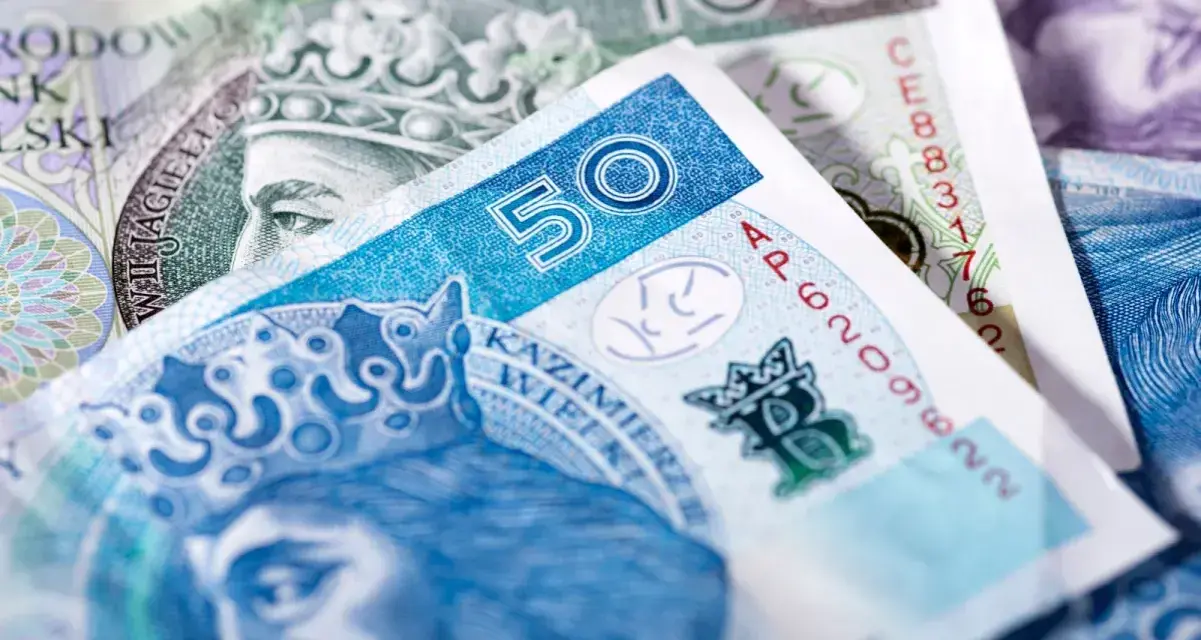 Zbliżenie na polskie banknoty 50 zł i 100 zł.