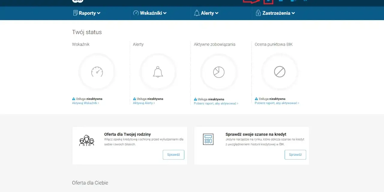 Panel BIK: status Twoich usług, jak sprawdzić scoring i oferty. Ikona ustawień.