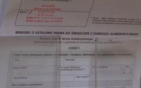Wniosek o świadczenia z funduszu alimentacyjnego. Czas oczekiwania na alimenty z funduszu alimentacyjnego może być różny.