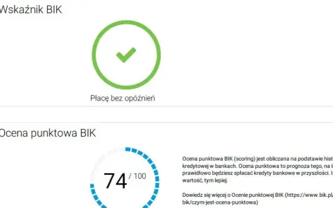 Wskaźnik BIK i ocena punktowa 74/100. Czy Revolut sprawdza BIK? Tak, ocena punktowa BIK jest kluczowa dla banków.