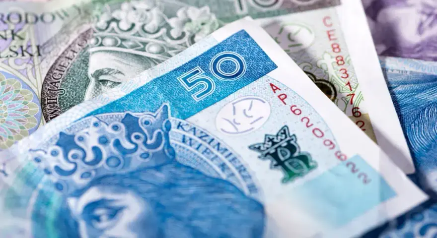 Zbliżenie na polskie banknoty 50 zł i 100 zł.